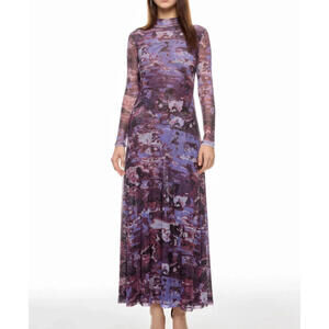 Ronny Kobo x RTR Printed Mesh Maxi Dress Fit & Flare - Size XS